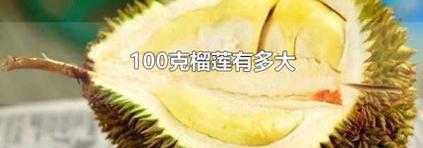 100克榴莲有多大