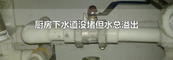 厨房下水道没堵但水总溢出