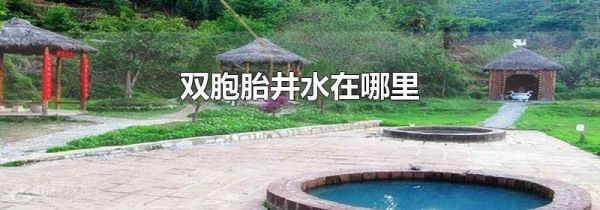 双胞胎井水在哪里