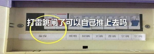 打雷跳闸了可以自己推上去吗