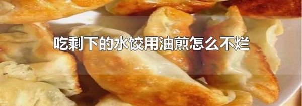 吃剩下的水饺用油煎怎么不烂