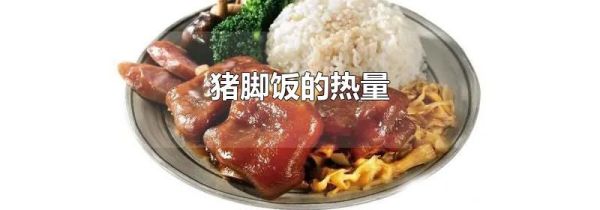 猪脚饭的热量