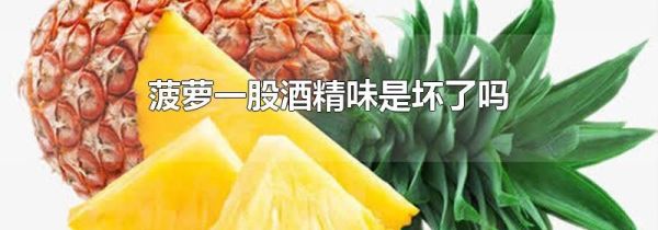 菠萝一股酒精味是坏了吗