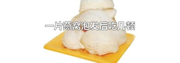 一片燕窝泡发后吃几顿