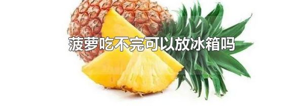 菠萝吃不完可以放冰箱吗