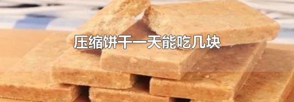 压缩饼干一天能吃几块