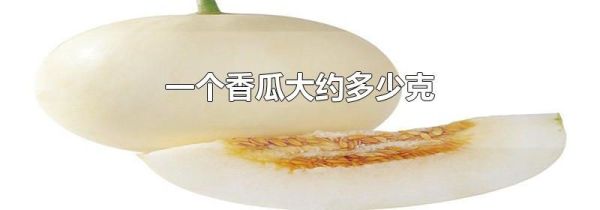 一个香瓜大约多少克