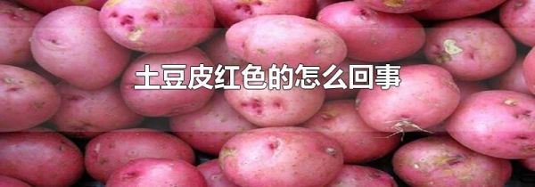 土豆皮红色的怎么回事