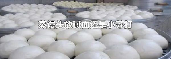 蒸馒头放碱面还是小苏打