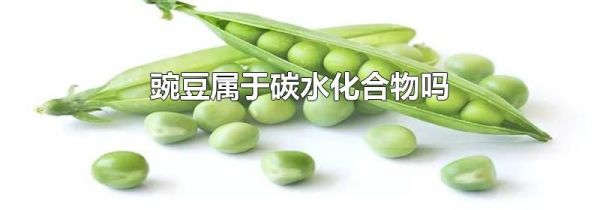豌豆属于碳水化合物吗
