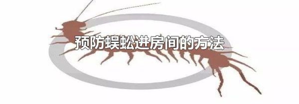 预防蜈蚣进房间的方法
