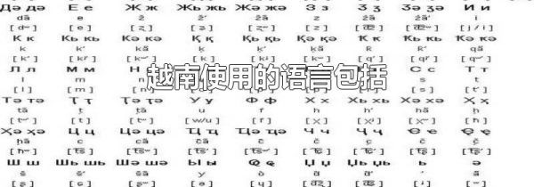 越南使用的语言包括