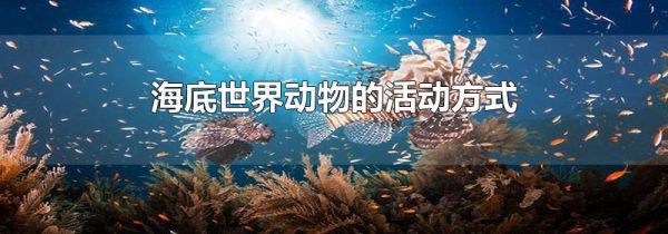 海底世界动物的活动方式