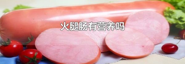 火腿肠有营养吗