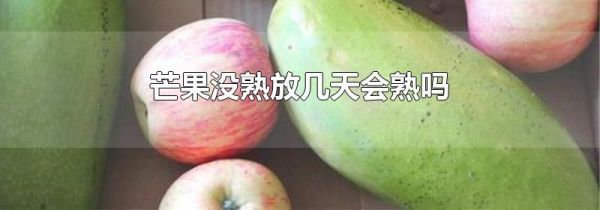 芒果没熟放几天会熟吗