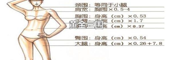 黄金三围