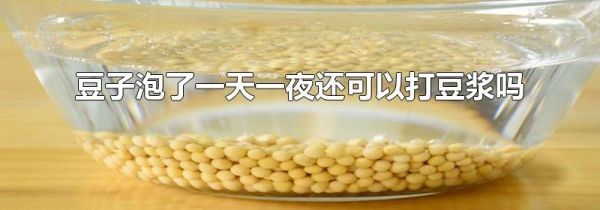 豆子泡了一天一夜还可以打豆浆吗