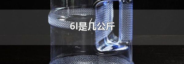 6l是几公斤