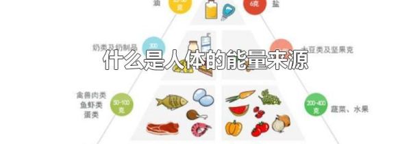 什么是人体的能量来源