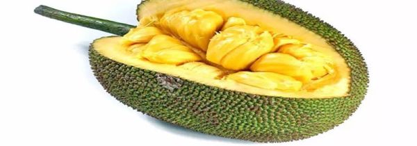 菠萝蜜切一半还能放熟吗