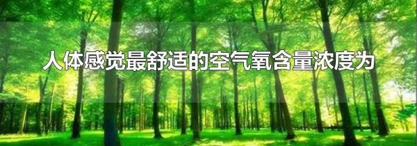 人体感觉最舒适的空气氧含量浓度为