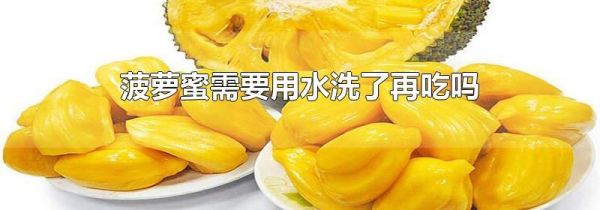菠萝蜜需要用水洗了再吃吗