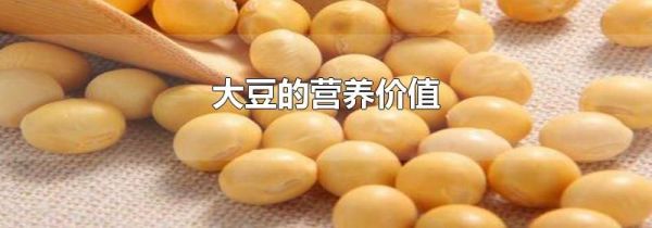 大豆的营养价值