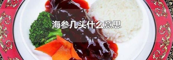 海参几头什么意思