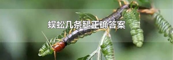 蜈蚣几条腿正确答案
