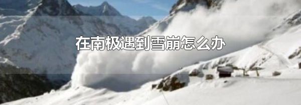 在南极遇到雪崩怎么办