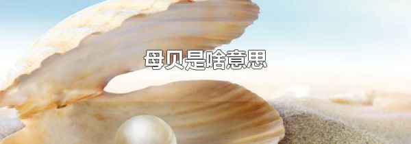 母贝是啥意思