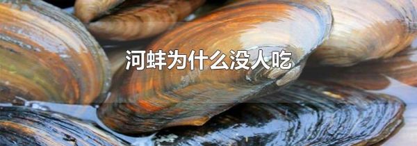 河蚌为什么没人吃