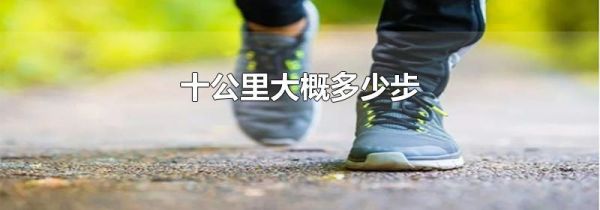 十公里大概多少步