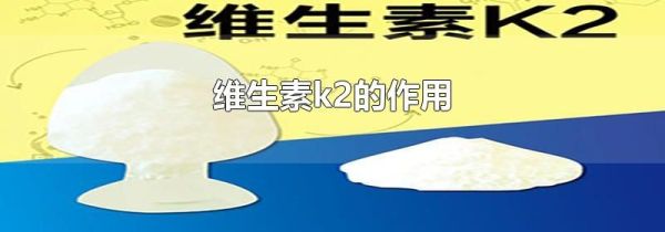 含维生素k2最多的食物