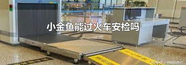 小金鱼能过火车安检吗