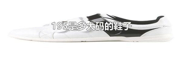 195是多大码的鞋子