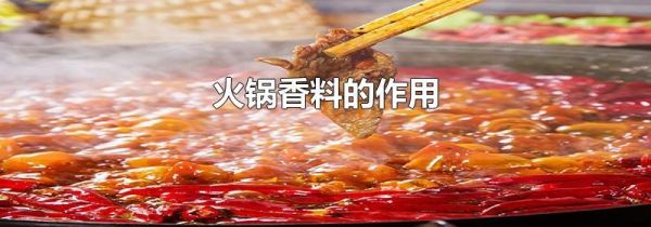 火锅底料配方都有哪些香料