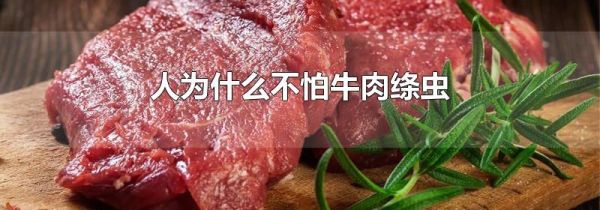 人为什么不怕牛肉绦虫