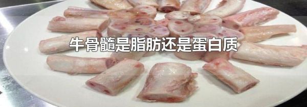 牛骨髓是脂肪还是蛋白质