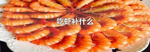 吃虾补什么