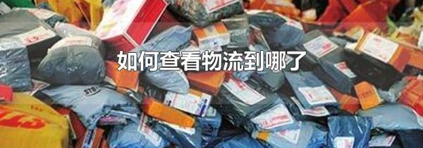 如何查看物流到哪了