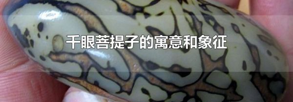 千眼菩提子的寓意和象征