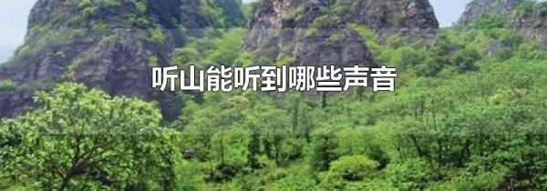 听山能听到哪些声音