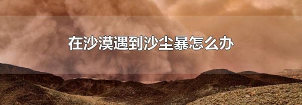 在沙漠遇到沙尘暴怎么办