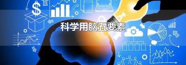 科学用脑五要素