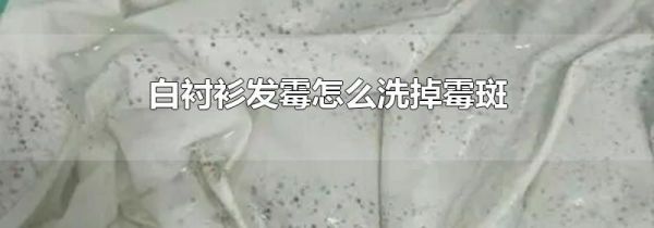 白衬衫发霉怎么洗掉霉斑