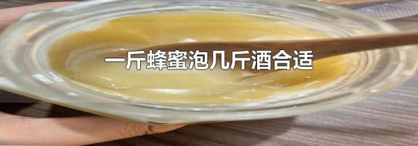 一斤蜂蜜泡几斤酒合适