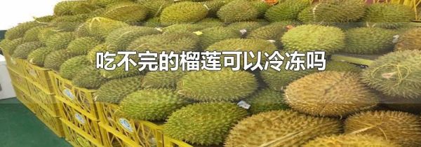 吃不完的榴莲可以冷冻吗