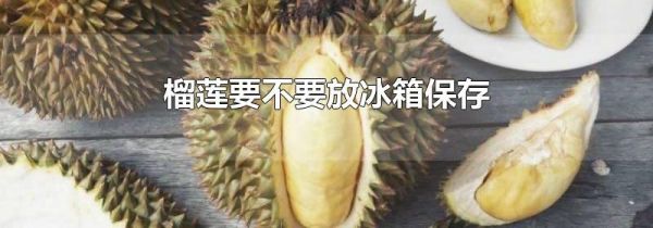 榴莲要不要放冰箱保存