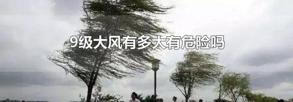9级大风有多大有危险吗